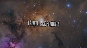 Танец скорпиона #скорпион