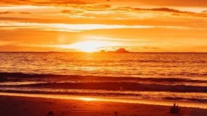 скин в пони таун гусь?