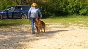 Валетта  Послушание  Тренинг ИПО 1