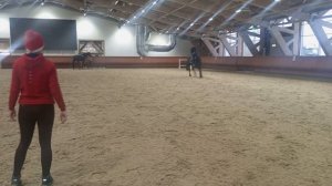 конкур, прыжки на лошади, тренировка