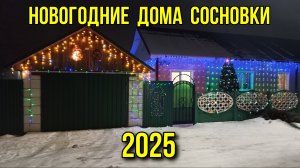 Новогодние дома Сосновки 2025