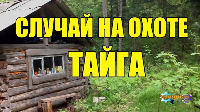 0991 - СЛУЧАЙ НА ОХОТЕ _ РАССКАЗ ОХОТНИКА _ ТАЙГА