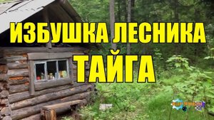 0229 - ИЗБУШКА ЛЕСНИКА _ ТРОГАТЕЛЬНАЯ ИСТОРИЯ