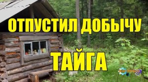 0964 - С РОГАТИНОЙ НА ТИГРА _ ЖИЗНЬ В ТАЙГЕ
