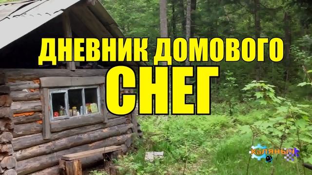 0466 - ДНЕВНИК ДОМОВОГО _ ДЕД ДОМОВОЙ В ТАЙГЕ ЗИМОЙ _ СКОРО НОВЫЙ ГОД _ СУДЬБА ЧЕЛОВЕКА смотреть онлайн