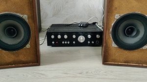 Акустическая система 15ас-221 (10 гдш) и Амфитон а1-01-2