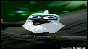 птица кричит САЛАМАЛЕЙКУМ