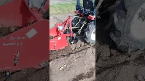 копка картошки копалкой starex mini 800