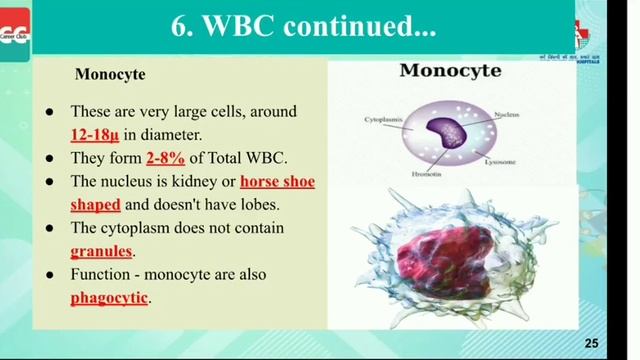 DMLT 1.1.4 – Circulatory System