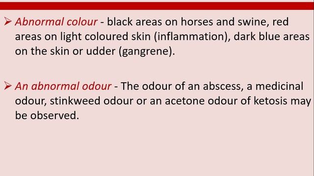 ANTE MORTEM AND POST MORTEM EXAMINATION  - VETERINARY SCIENCE DAY 4 - FOOD SAFETY OFFICER  DAY-43.