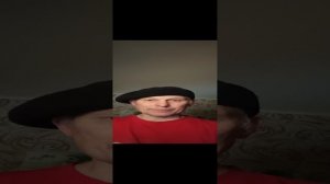 "Мастер на час" и животные.