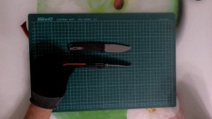 Тагаут с клинком из S90V