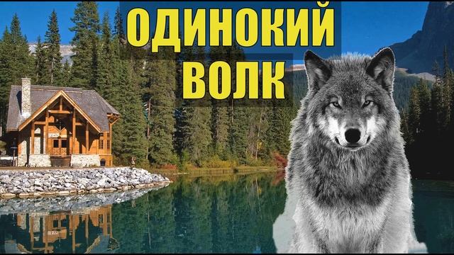 0289 ОДИНОКИЙ ВОЛК СУДЬБА ЧЕЛОВЕКА СЛУЧАЙ на СЕВЕРЕ ОТШЕЛЬНИК СУДЬБА СЕРИАЛ смотреть онлайн