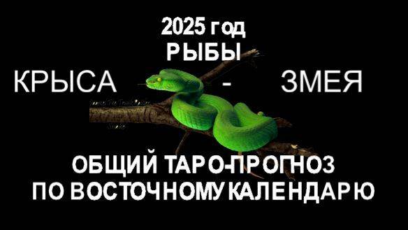 ОБЩИЙ ТАРО-ПРОГНОЗ НА 2025 ГОДА.ПО ВОСТОЧНОМУ КАЛЕНДАРЮ. РЫБЫ (КРЫСА-ЗМЕЯ)