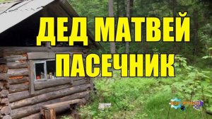 ДЕД 102 ГОДА В ТАЙГЕ _ ПАСЕКА МЕДВЕДЬ _ ЖЕНЬШЕНЬ _ ЖИЗНЬ В ЛЕСУ
