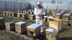 Вы не поверите!