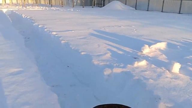 Чистим точок от снега (зола в помощь)(17.03.2024) смотреть онлайн