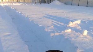 Чистим точок от снега (зола в помощь)(17.03.2024)