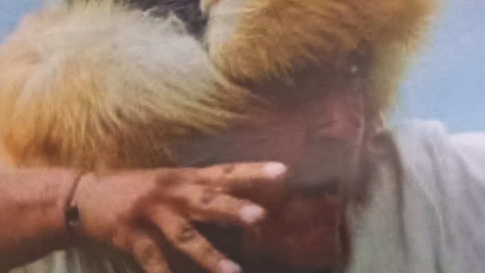 "ОГНЕННАЯ СТРЕЛА САЛАВАТА" смотреть онлайн