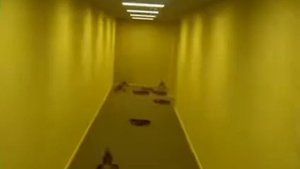 Крабы танцуют в бэкрумсе(2ч)