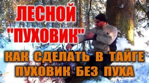 КАК УТЕПЛИТЬ ОДЕЖДУ В ХОЛОДА. ПРИРОДНЫЙ УТЕПЛИТЕЛЬ ДЛЯ ОДЕЖДЫ - Лесная "пакля" или БОРОДА ЛЕШЕГО.