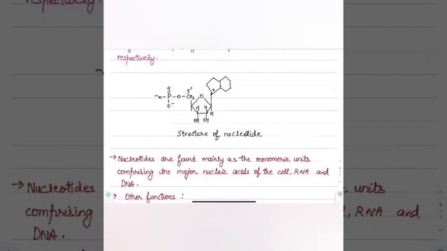 AP Biology- Nucleotides are monomers of Nucleic acid(DNA/RNA)