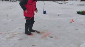 Ловим форель на запуске и в полях. Верхний водоём.