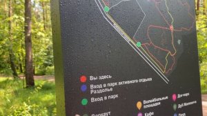 ПРИ ЧЕМ ТУТ СОБЧАК? Новый парк Москвы в Барвихе/ Природа и искусство/Где погулять/Парк Малевича