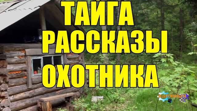 1064 - ТАЕЖНЫЕ ПРИКЛЮЧЕНИЯ _ Рассказы охотника