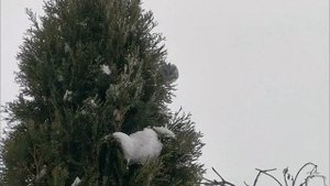 В НОВЫЙ РАДИО ТЕХНИЧЕСКИЙ ГОД С НОВОЙ ВКС!