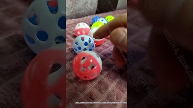 Цветотерапия для кошек: выбираем мячик по настроению!