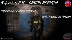 S.T.A.L.K.E.R -  Связь Времён Просьба Белого Волка "найти Цветок жизни"