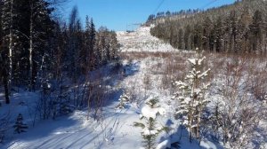 Ямаха викинг 4