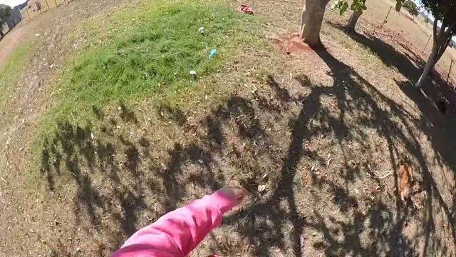 Mascot Mayhem with Selena Stevens смотреть онлайн