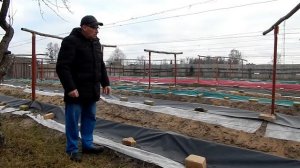 Виноград не вызревает, нет аромата САТ и Вт ФАР/метр квадратный.