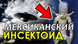 Мексиканский Инсектоид. Инопланетяне, НЛО и Палеоконтакт