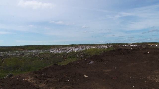 В Охинском районе определили место под строительство мусоросортировочного комплекса смотреть онлайн