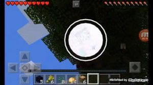 Новый друг турбо тигр(1)