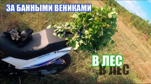 ДЕРЖИМ ПУТЬ ЗА БАННЫМИ ВЕНИКАМИ