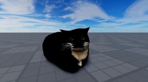 Maxwell кошка танцует