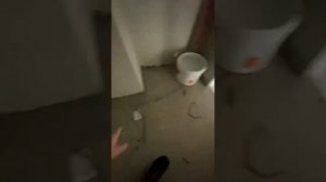 Приёмка двухкомнатной квартиры в ЖК Калининград сити от Акфен