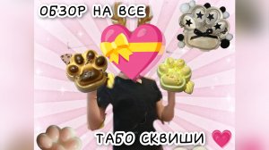 ОБЗОР НА ТАБО СКВИШИ😱.🐾🐾🐱