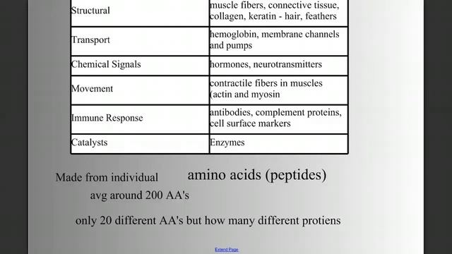 Biomolecules part 2  Nucleic Acids and Proteins