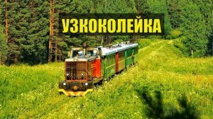 0102 ТУПИК ТАЁЖНЫЙ ЗАБРОШЕННАЯ ДЕРЕВНЯ ТАЙГА УЗКОКОЛЕЙКА СУДЬБА ИСТОРИИ из ЖИЗНИ ДОМ в ЛЕСУ ЛЕСНЫЕ С