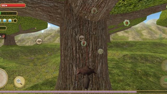 симулятор белки смотреть онлайн