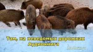 1233 - Там, на неведомых дорожках