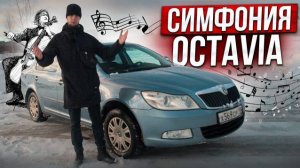 Симфония Octavia