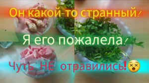 15.10.2023 СТРАННЫЙ АРБУЗ!😯ЧТО ВЫРОСЛО..ТО ВЫРОСЛО!☘️ДОЖДЬ!🌧Я НА ЗАГОТОВКАХ!🙇