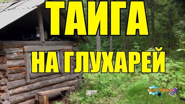 1070 - БАБКА НЕ ПУСКАЕТ ДЕДА НА ОХОТУ _ ТАЙГА смотреть онлайн