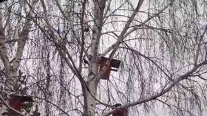 Скворечник из пластиковой трубы, дуплянка из пластиковой трубы.
